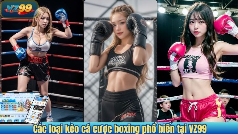 Các loại kèo cá cược boxing phổ biến tại VZ99