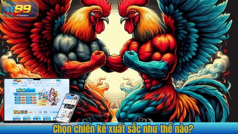 Chọn chiến kê xuất sắc như thế nào?