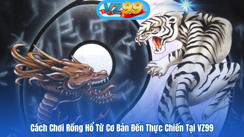 Cách Chơi Rồng Hổ Từ Cơ Bản Đến Thực Chiến Tại VZ99