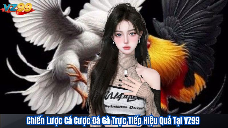 Chiến Lược Cá Cược Đá Gà Trực Tiếp Hiệu Quả Tại VZ99
